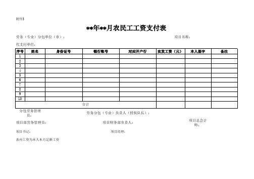 农民工工资支付表(模板)