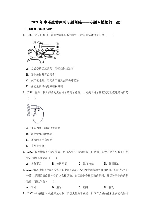 2021年中考生物冲刺专题训练——专题6植物的一生    解析版