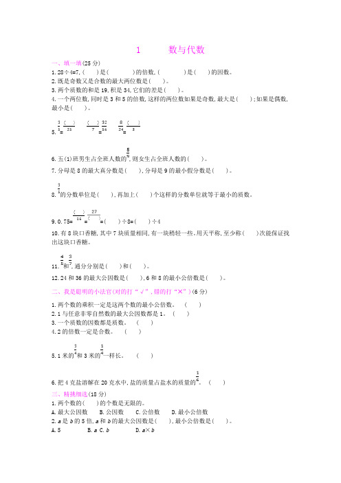 五年级下册数学试题专题总复习数与代数人教版(含答案)