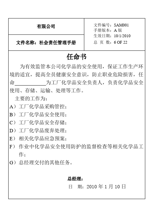 社会责任负责人任命书