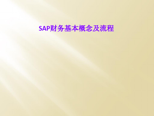 SAP财务基本概念及流程