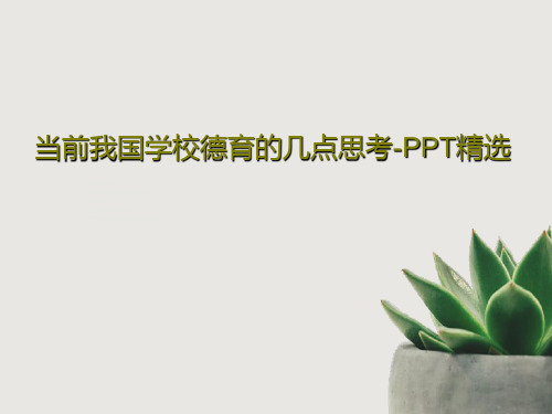 当前我国学校德育的几点思考-PPT精选28页PPT