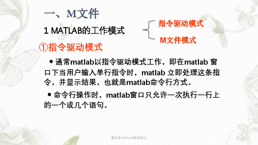 第五讲MATLAB程序设计ppt课件