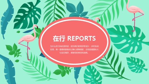 火烈鸟主题清新精美创意通用动态PPT模板素材方案