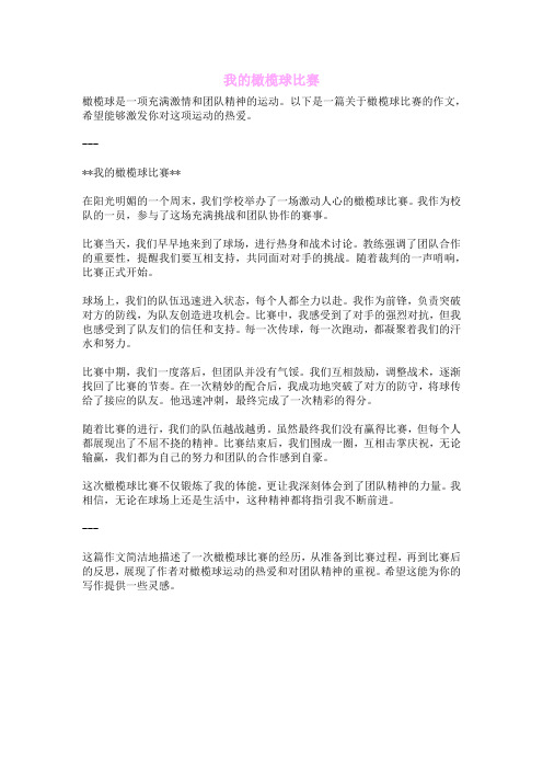 我的橄榄球比赛