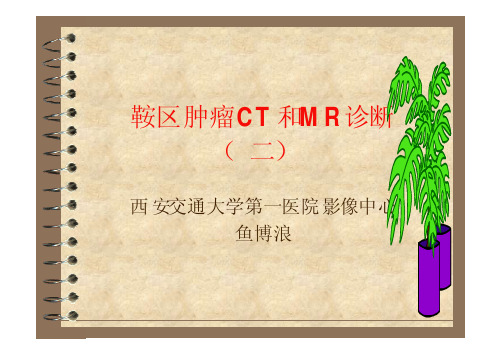 鞍区肿瘤CT和MR诊断2(课件形式)