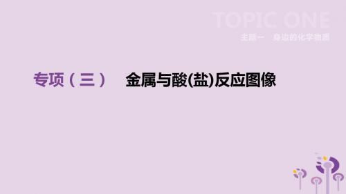 河北省2019年中考化学复习主题一身边的化学物质专项(三)金属与酸(盐)反应图像课件