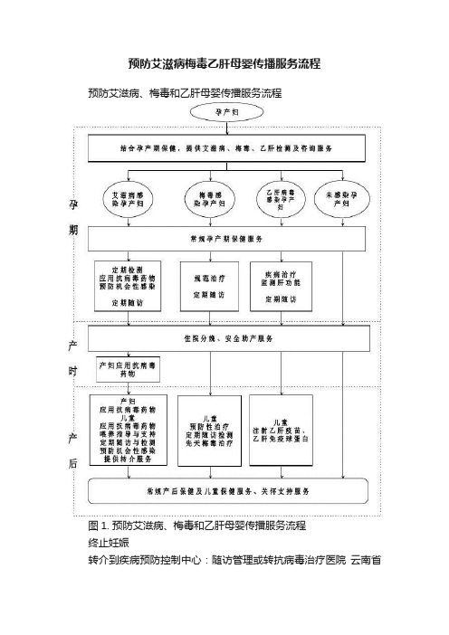 预防艾滋病梅毒乙肝母婴传播服务流程