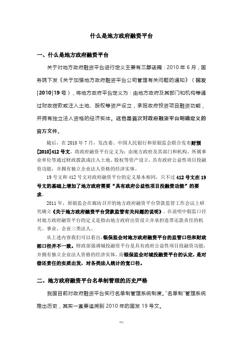 什么是地方政府融资平台