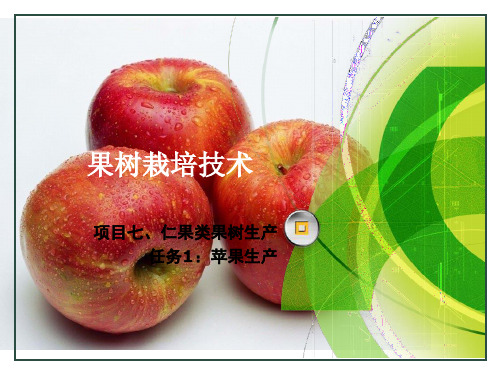 果树栽培技术:任务1-子任务五:苹果丰产栽培技术