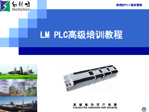 LM高级培训教程