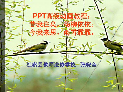 PPT高级动画教程：昔我往矣 杨柳依依