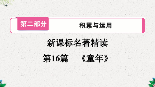 部编版中考语文 名著精读  第16篇 《童年》