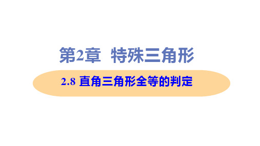 新浙教版八年级上册初中数学 2-8 直角三角形全等的判定 教学课件