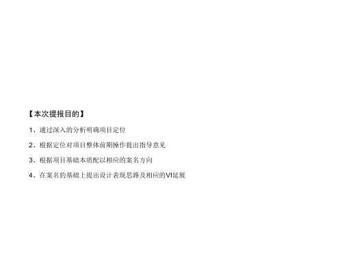 惹目地产3月18日霸州市金各庄改造项目全程思路沟通