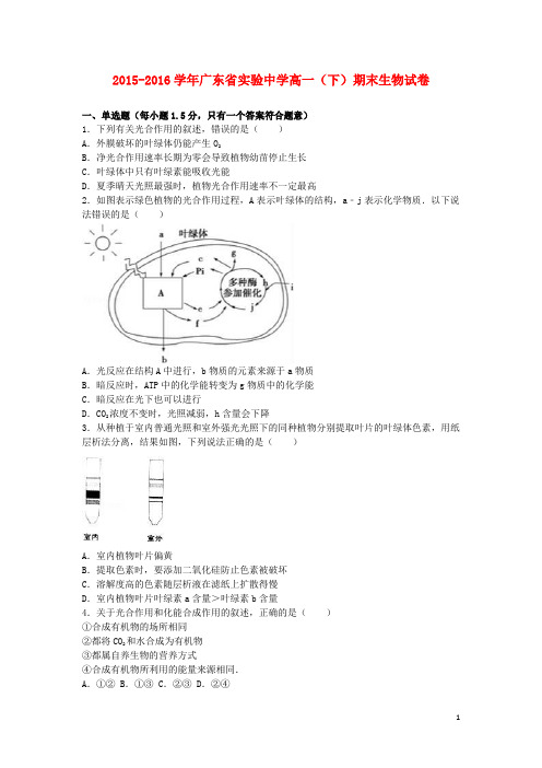 广东省实验中学高一生物下学期期末试卷(含解析)