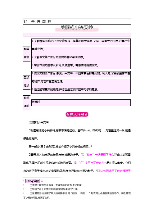 课题讲解美丽的小兴安岭.doc