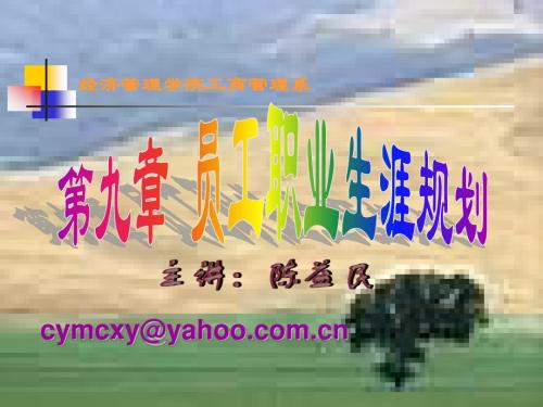 9职业生涯管理