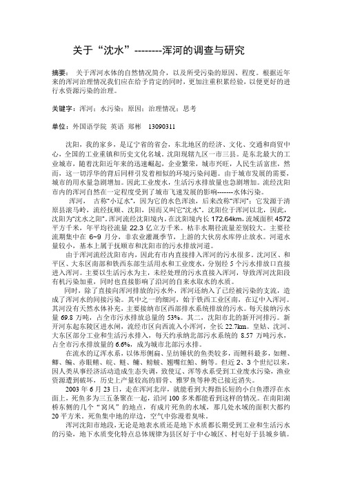 关于沈阳浑河水污染