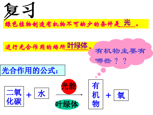 光合作用的公式