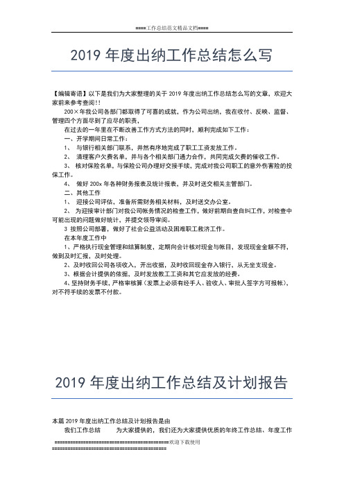 2019年最新度出纳工作总结与计划报告工作总结文档【五篇】