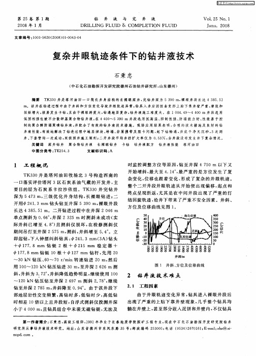 复杂井眼轨迹条件下的钻井液技术