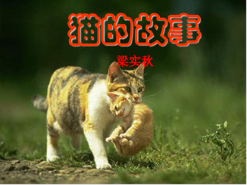 《猫的故事》教学课件(13张ppt)剖析