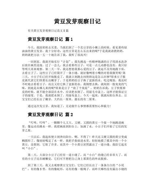 黄豆发芽观察日记