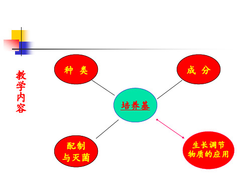 第三章培养基