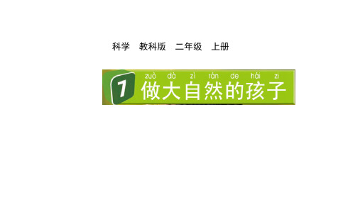 2024教科版科学二年级上册第一单元我们的地球家园7做大自然的孩子教学课件