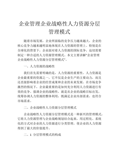 企业管理企业战略性人力资源分层管理模式