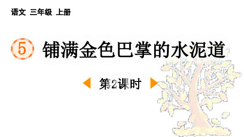 最新统编人教版语文三年级上册《铺满金色巴掌的水泥道(第2课时)》精品教学课件