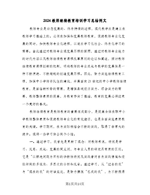 2024教师继续教育培训学习总结例文（5篇）