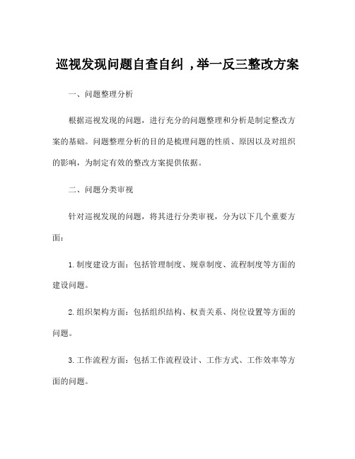 巡视发现问题自查自纠 ,举一反三整改方案