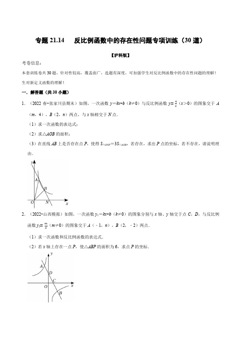 专题21.14 反比例函数中的存在性问题专项训练(30道)(举一反三)(沪科版)(原卷版)