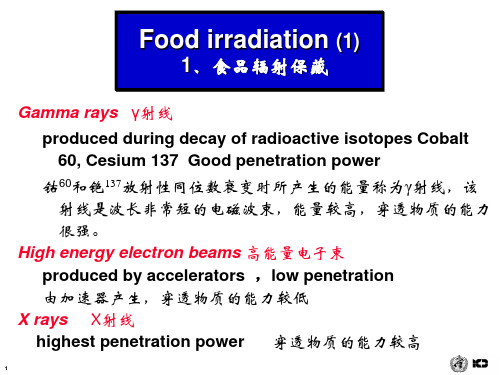 辐照食品的安全性概述课件