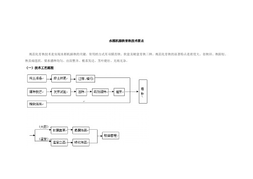 水稻机插秧育秧技术要点