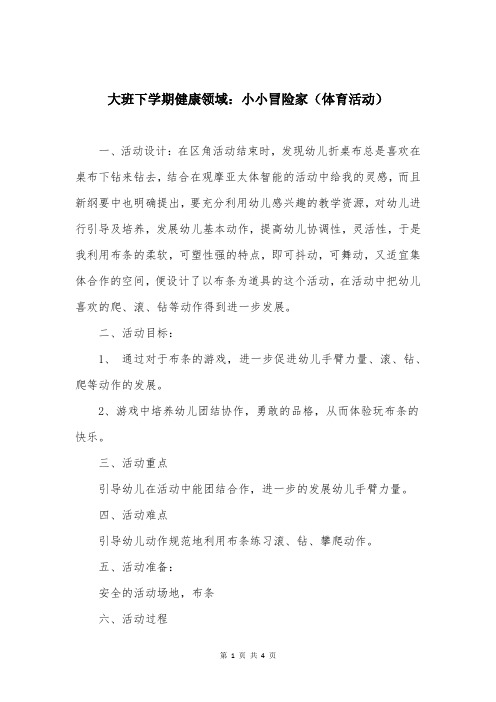 大班下学期健康领域：小小冒险家（体育活动）