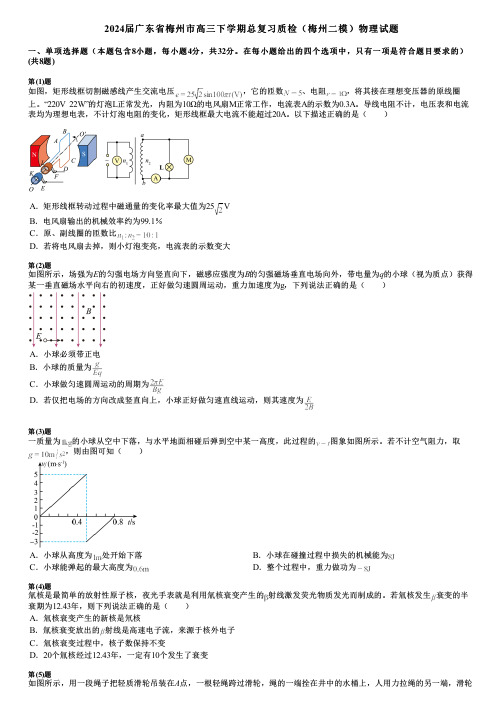 2024届广东省梅州市高三下学期总复习质检(梅州二模)物理试题