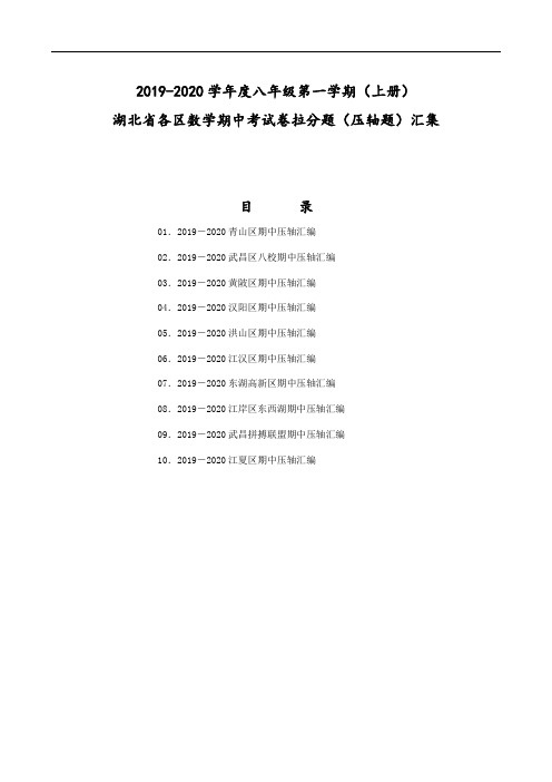 湖北省各区数学期中考试卷拉分题(压轴题)汇集2019秋八年级上册期中测试卷