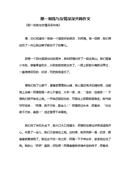 那一刻我与友情深深共鸣作文