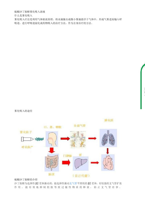 硫酸沙丁胺醇雾化溶液