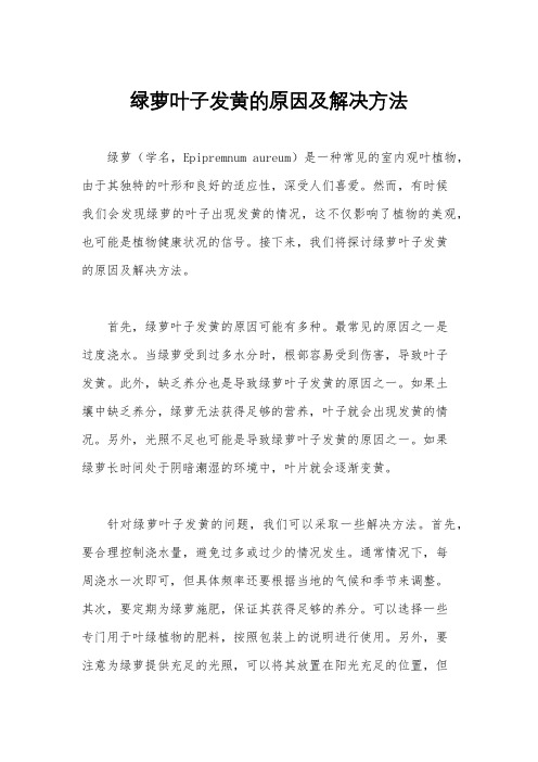 绿萝叶子发黄的原因及解决方法