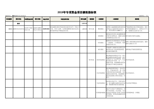 专项资金项目绩效指标表