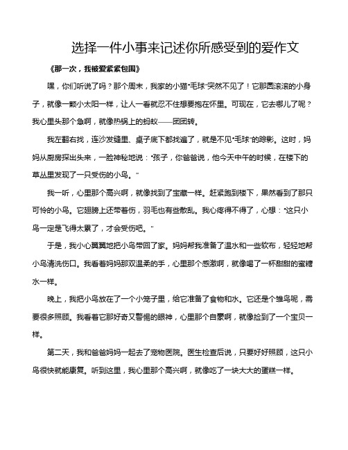 选择一件小事来记述你所感受到的爱作文