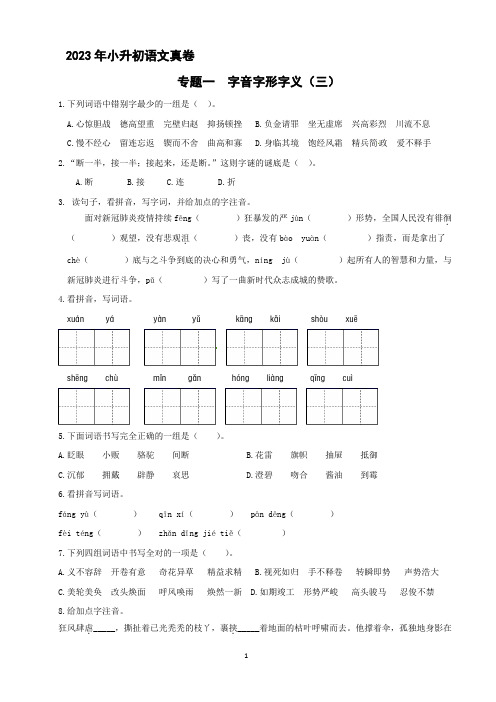 小升初语文专题一 字音字形字义(三) 2023小升初语文真题汇编(原卷+答案与解释)