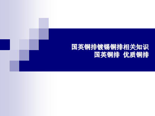 铜排镀锡铜排相关知识