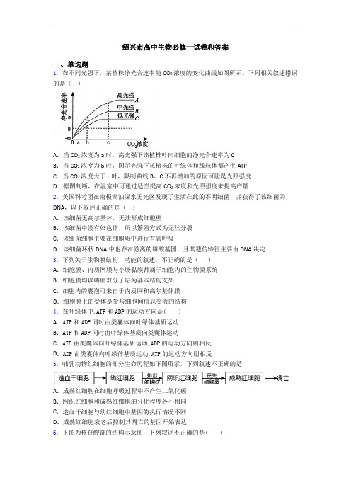 绍兴市高中生物必修一试卷和答案