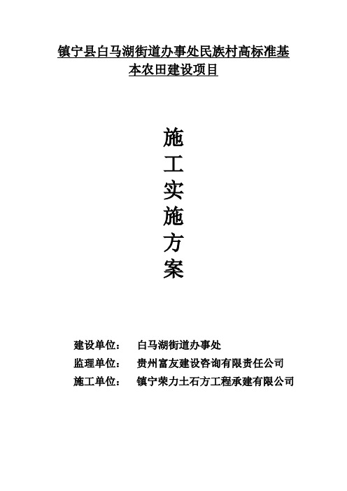 2-高标准农田建设实施方案