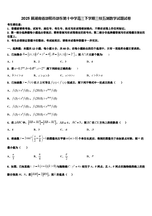 2025届湖南省邵阳市邵东第十中学高三下学期三校五测数学试题试卷